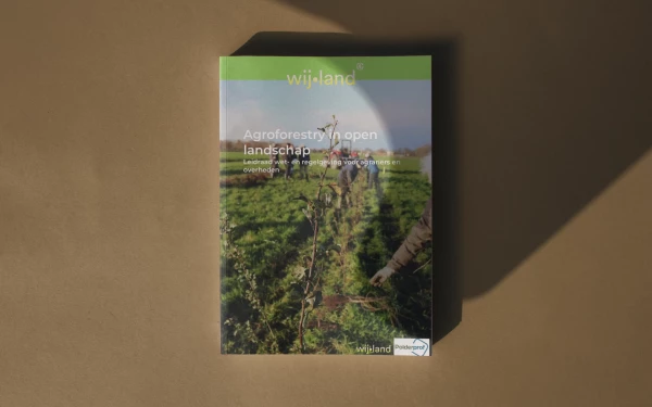 Agroforestry in open landschap