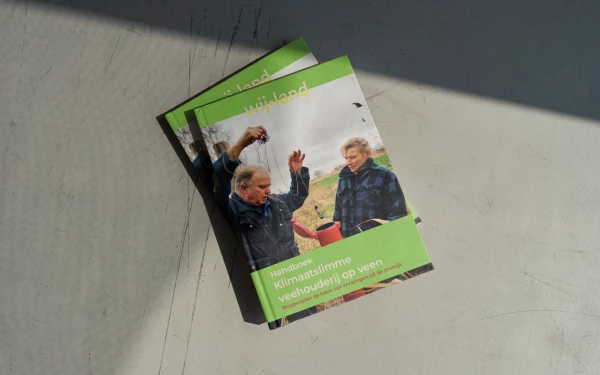Klimaatslimme veehouderij op veen