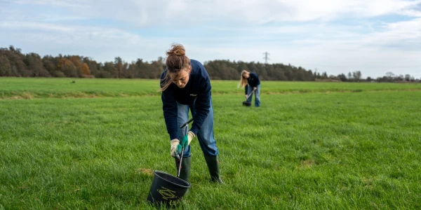 aanpak: met voeten in het veen en ogen op de horizon