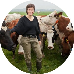 Boerin Monique van der Laan tussen haar koeien