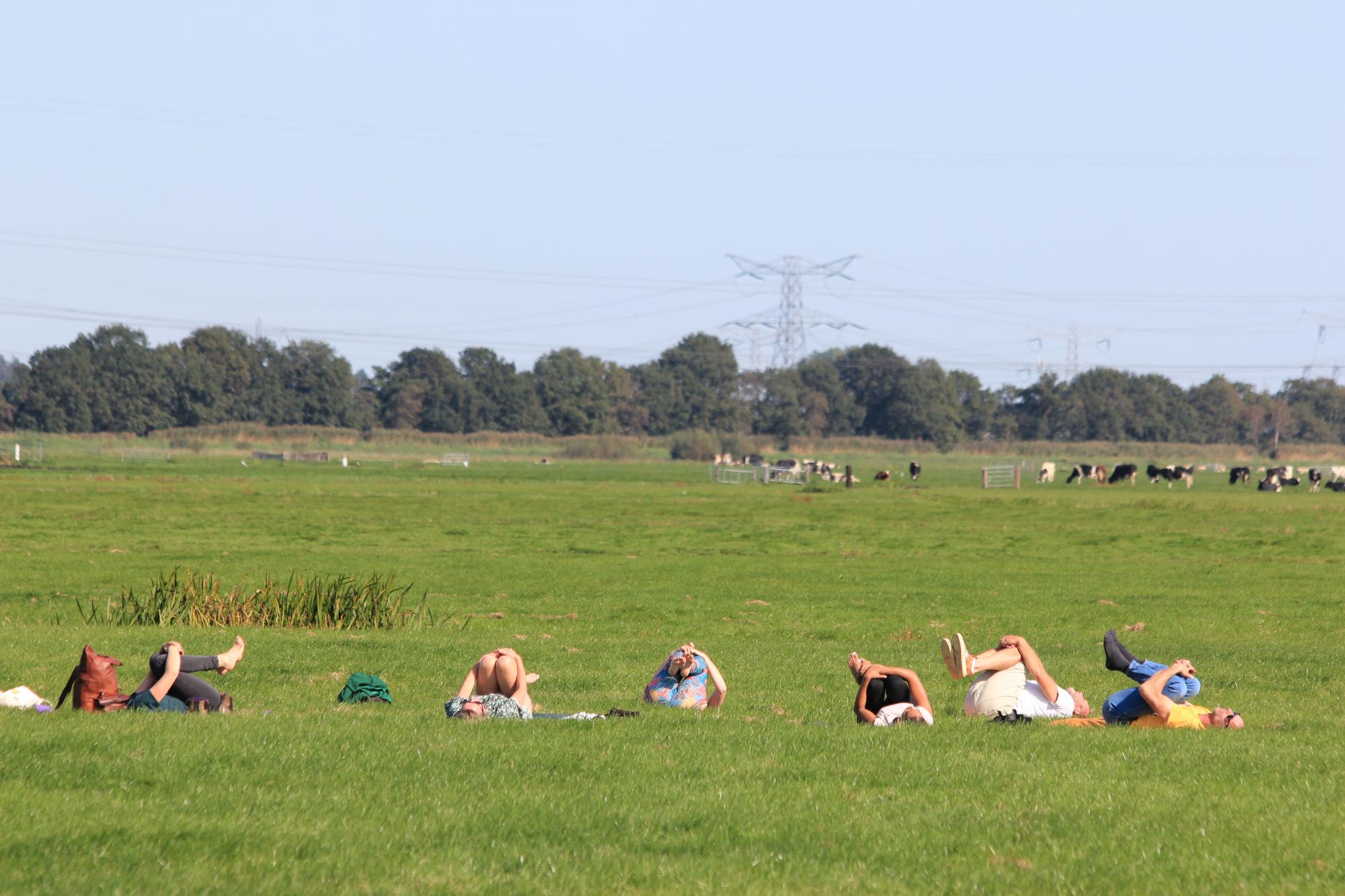 yoga in het gras